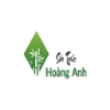 Bbd12f sao truc hoang anh artboard 1