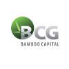 D93a4a logo bamboocapital