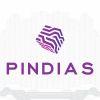 C98033 logo pindias bat dong san so