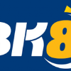 B15145 bk8 b8k logo