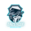 2ad6dc baustique 1