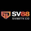 D7e027 logo sv88tvco