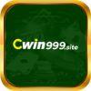 A94991 cwin999site