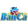 D1a61c banca28comvc