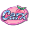 93a95f carxicon