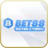 D63a02 bet88cymru 300x300