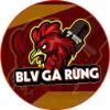 1ad54c logo blvgarung