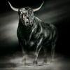 Be6890 bull
