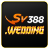 5fa34b sv388 logo favicon