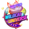 E0dda1 wildcatuniverse