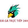 B206ca logo dagatructiep24h