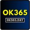 729b8e ok365day