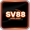 56e6de sv88.host