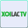 8f0b3c xoilactv.tube favicon