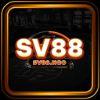 0bd394 sv88 ngo favicon