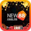 Db5d73 new88comim