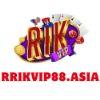 D308f6 rikvip88asia logo