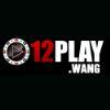 Acf90e 12playwang logo500