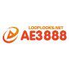 3a8c38 logo ae888 looplooks 700