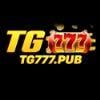 D40391 logo tg777pub