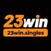 E2813e 23winsinglesavt