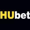 D53b46 cropped favicon hubet