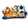 Bf60b8 logo tylebongda