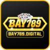 09543c favicon bay789 digital