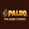 30d2c7 favicon paldobet space 01