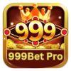 9fdc9e logo 999betpro