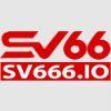 6b0695 logo