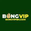 616e95 logo bongvip