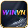 96bc38 winvn bieu tuong