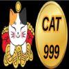 99eb2e 1cat999