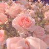 29e7bb 5 flores 600x600