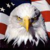 0679f2 american pride eagle