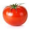 C0846f tomato