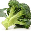 466923 broccoli 1 s d 698