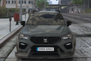 53a595 ateca02