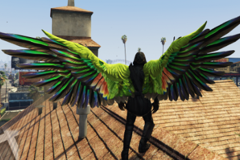 6575cd parrotwings