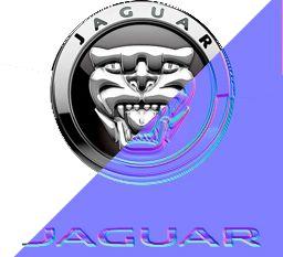 7a188a jaguar eigen badge