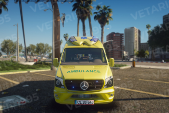 9a9896 ambulance2