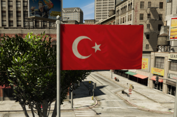 E6d13b screenshot flag turkey codewalker