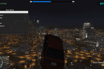 844586 v1.1gunstore