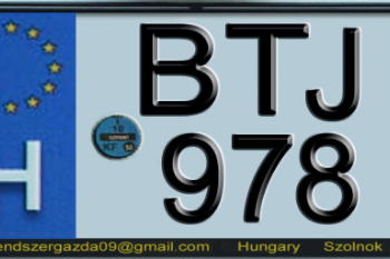 761139 plate04