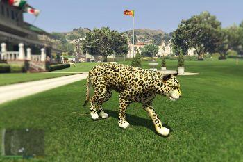 945941 leopard 1