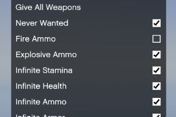 B40037 player
