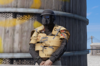 596203 cropped armour2