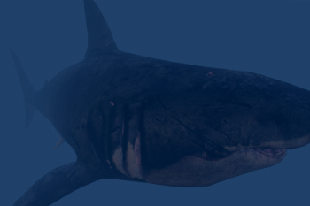 Resized Megalodon Shark [MEG: Monster of the Depth] - GTA5-Mods.com