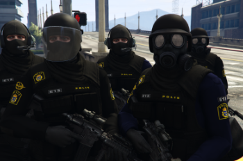 43e1d5 swat2